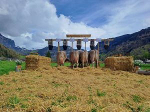 Ruedi Fhn-Zurfluh Petra